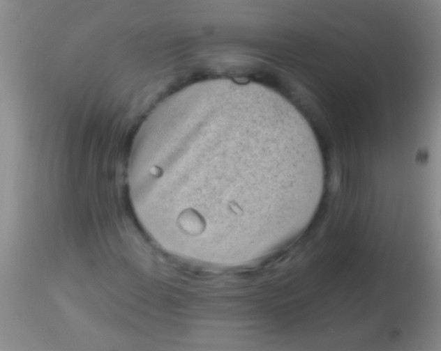 X0000113961108200910161957