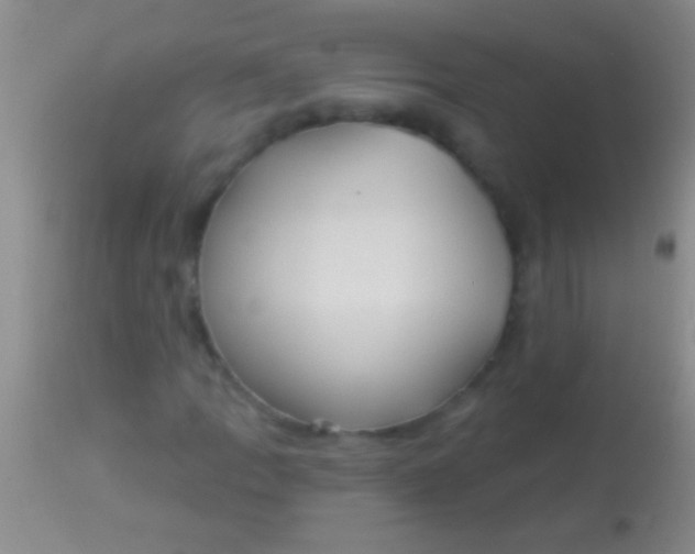 X0000113961109200910161957