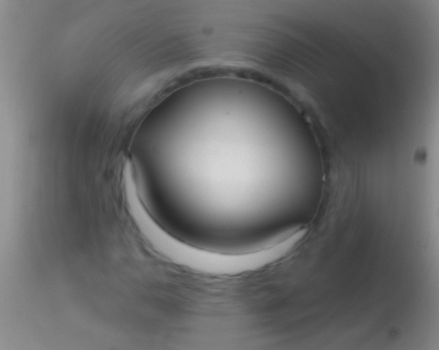 X0000113961110200910161957