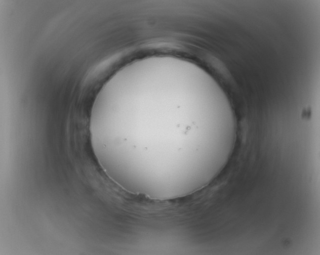 X0000113961111200910161957