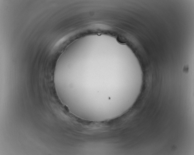 X0000113961112200910161957