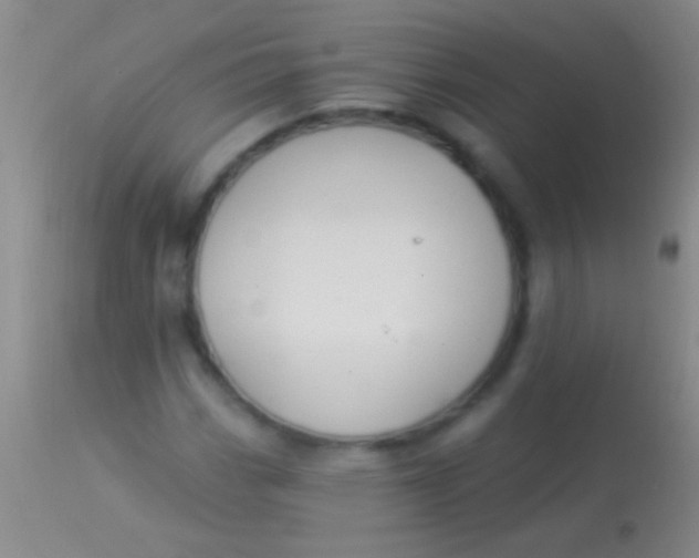 X0000113961113200910161957