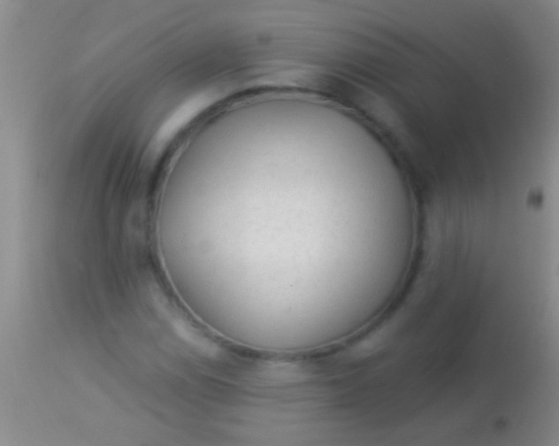 X0000113961114200910161957