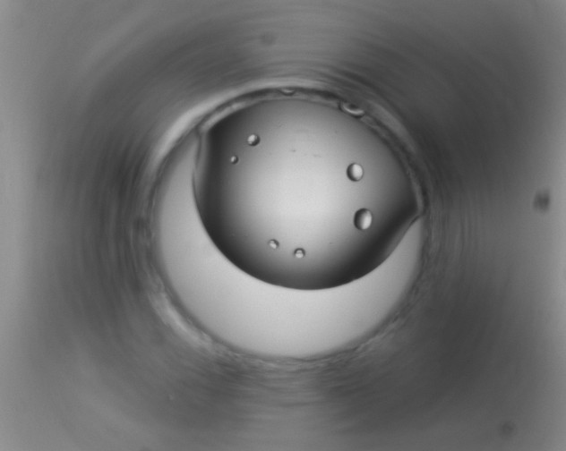 X0000113961116200910161957