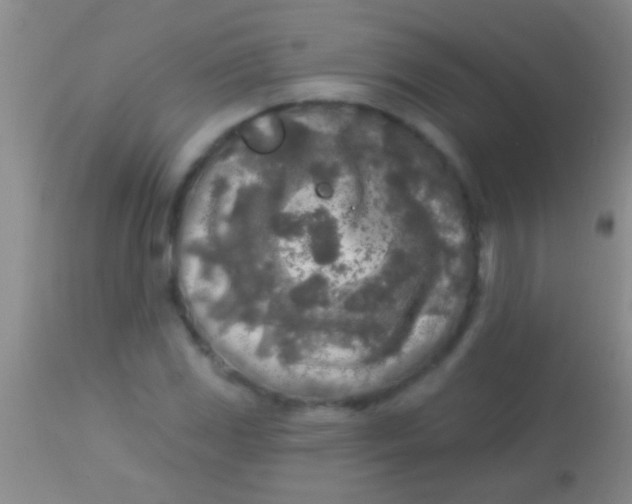 X0000113961117200910161957