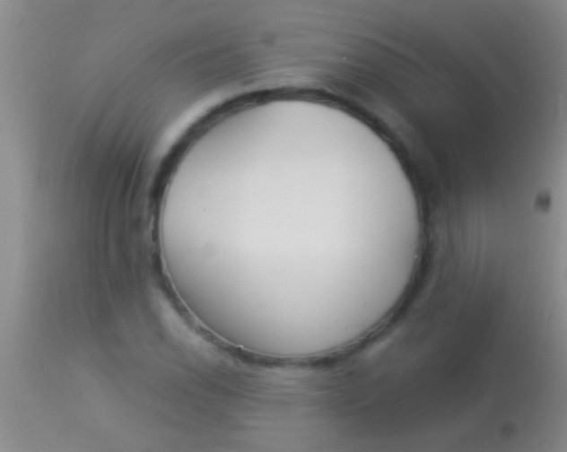 X0000113961118200910161957