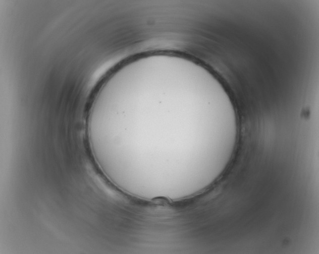 X0000113961119200910161957