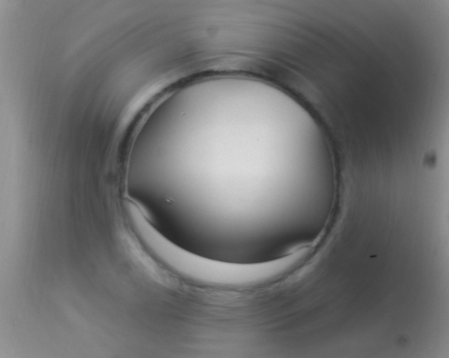 X0000113961122200910161957