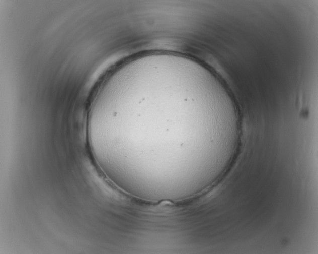 X0000113961123200910161957