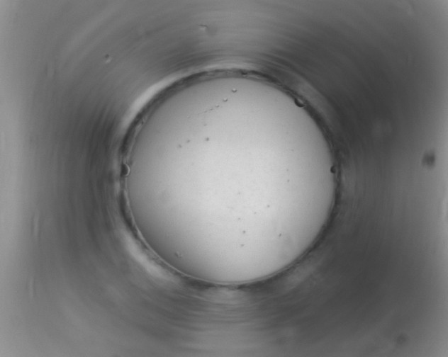 X0000113961124200910161957