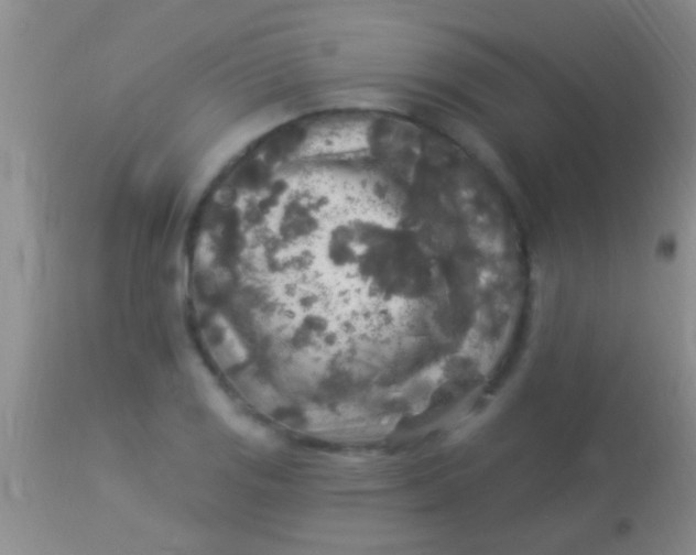 X0000113961125200910161957