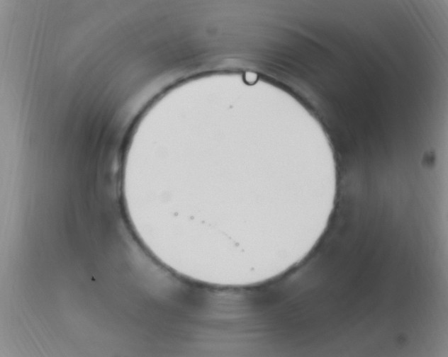 X0000113961126200910161957