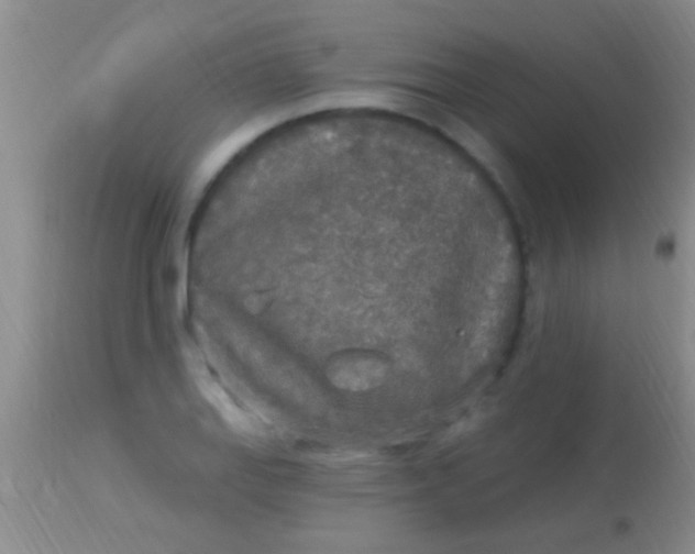 X0000113961127200910161957