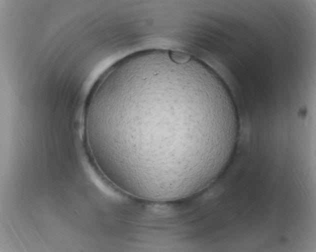 X0000113961128200910161957