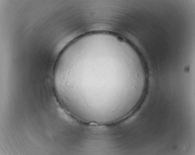 X0000113961129200910161957