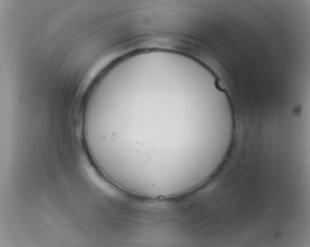 X0000113961131200910161957