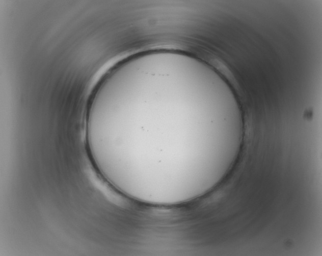 X0000113961132200910161957