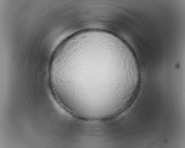 X0000113961133200910161957