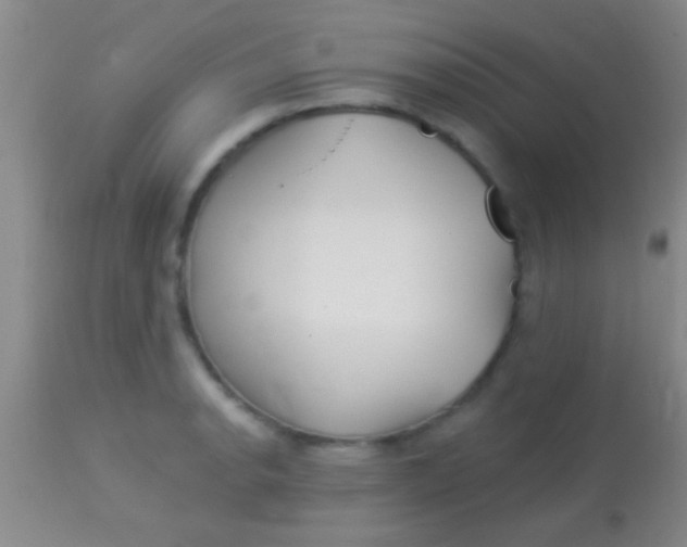 X0000113961134200910161957