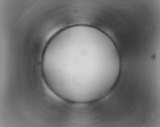 X0000113961135200910161957