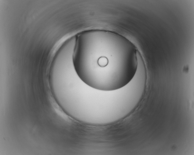 X0000113961136200910161957