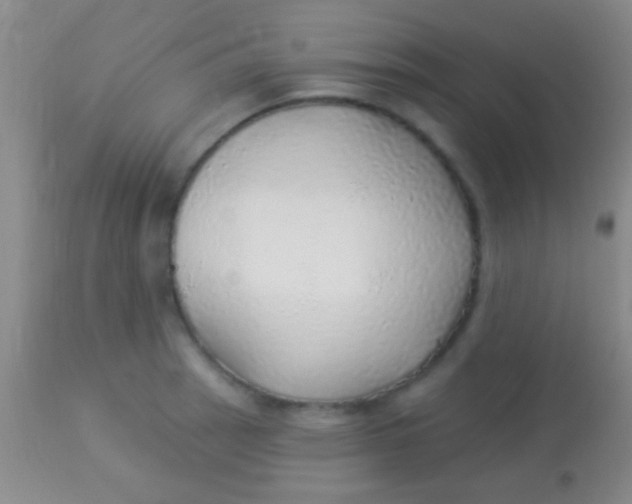 X0000113961137200910161957