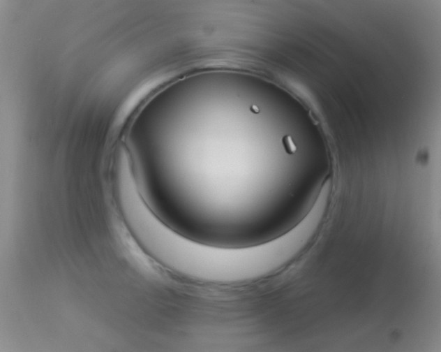 X0000113961138200910161957