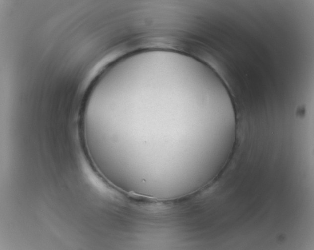 X0000113961139200910161957