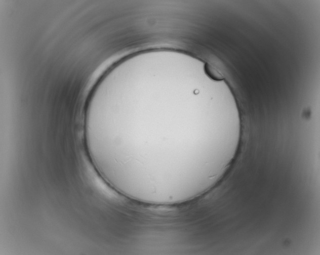 X0000113961140200910161957