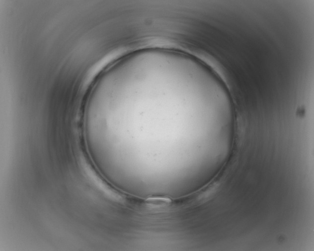 X0000113961142200910161957