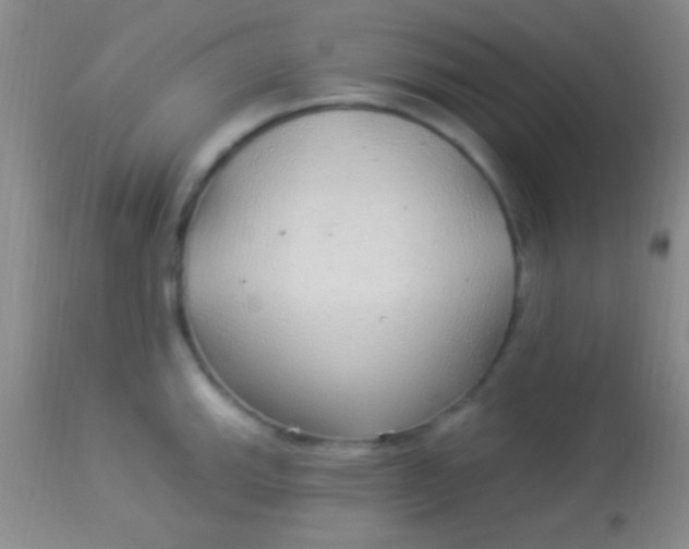 X0000113961143200910161957