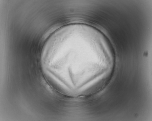 X0000113961145200910161957