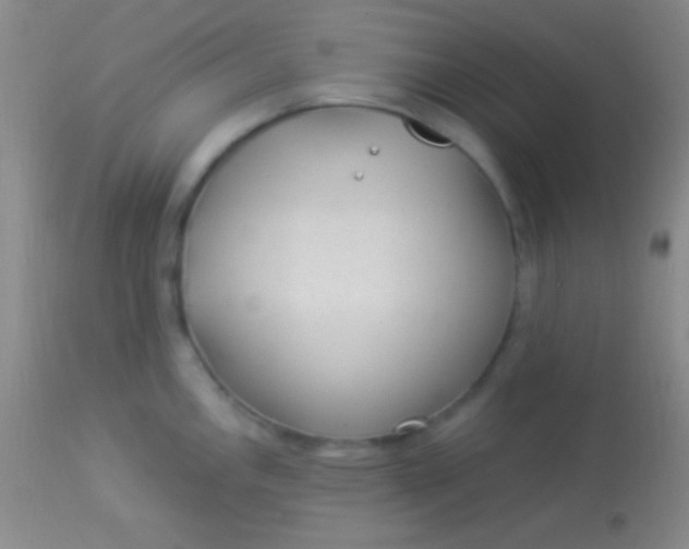 X0000113961146200910161957