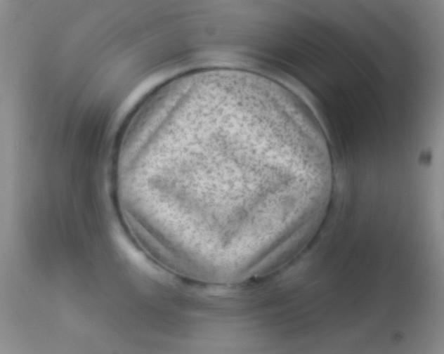 X0000113961147200910161957