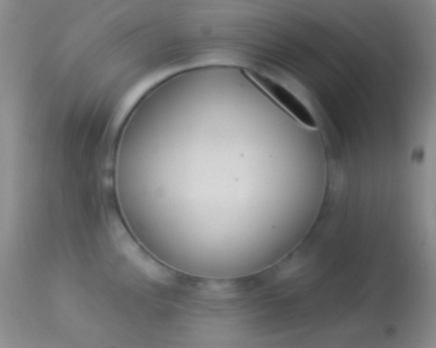 X0000113961148200910161957