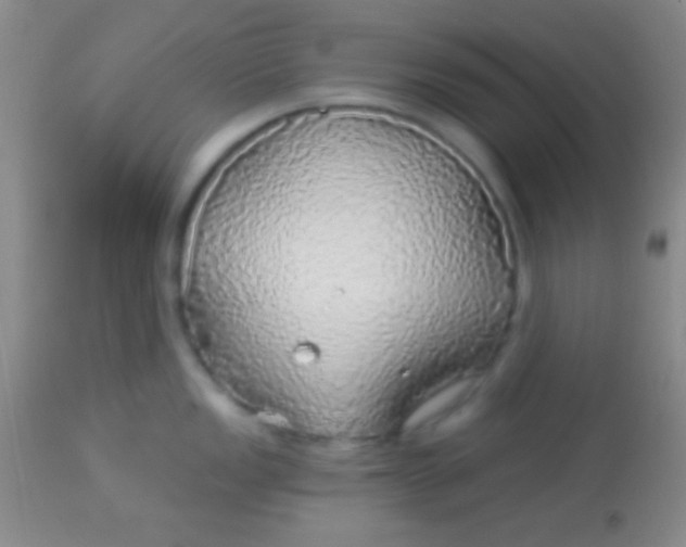 X0000113961149200910161957