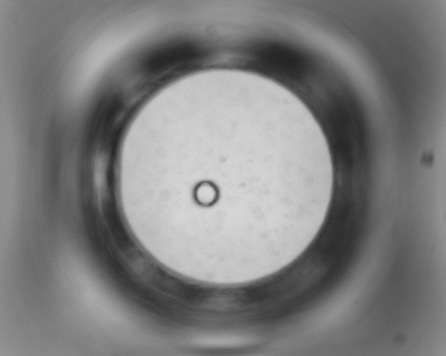 X0000113961150200910161957