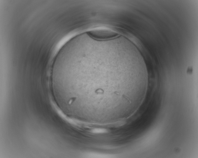 X0000113961151200910161957