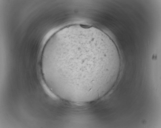 X0000113961152200910161957