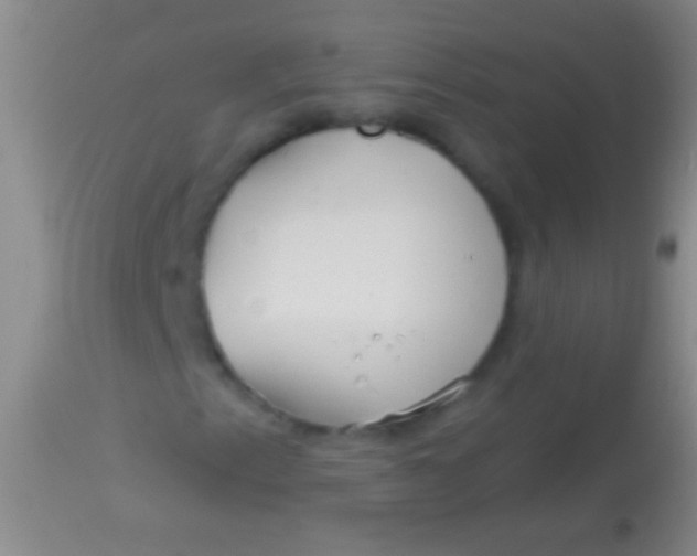 X0000113961153200910161957