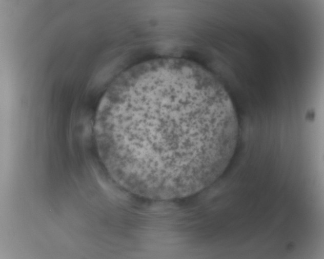 X0000113961154200910161957