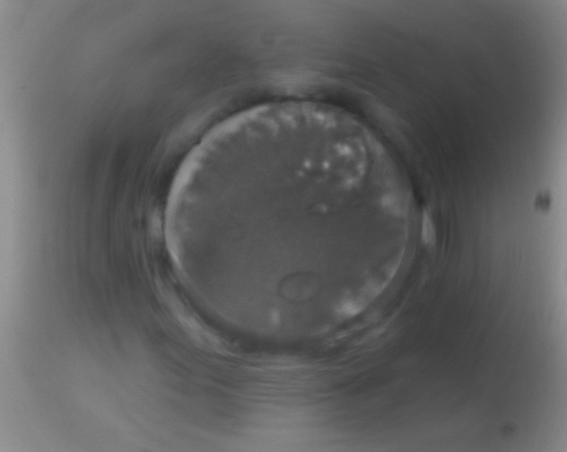 X0000113961155200910161957