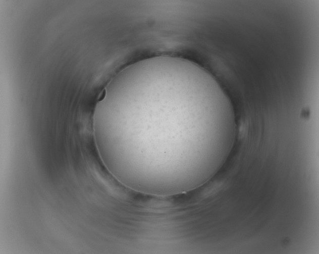 X0000113961156200910161957