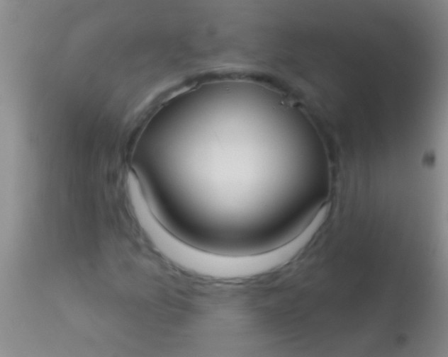 X0000113961157200910161957