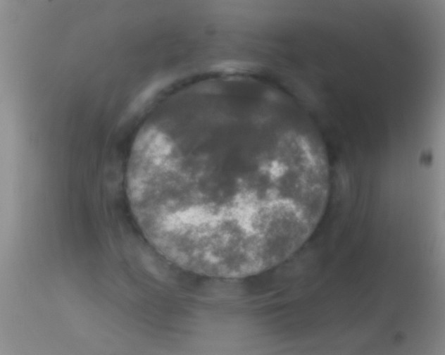 X0000113961158200910161956