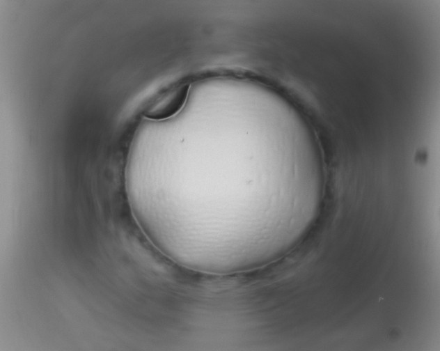 X0000113961159200910161956