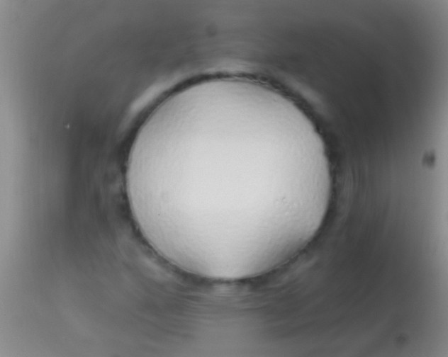 X0000113961160200910161956