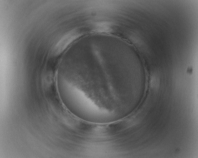 X0000113961161200910161956