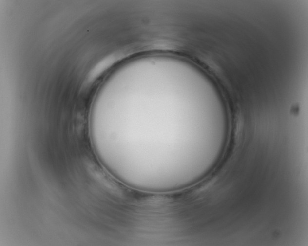 X0000113961163200910161956