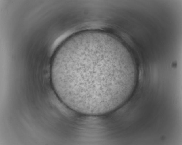 X0000113961164200910161956